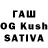 Галлюциногенные грибы Cubensis Dave Richer