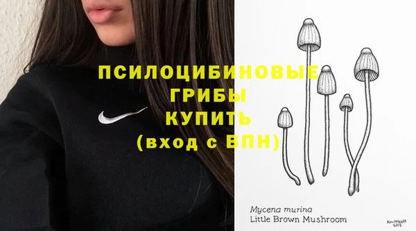 ALPHA-PVP Алексин