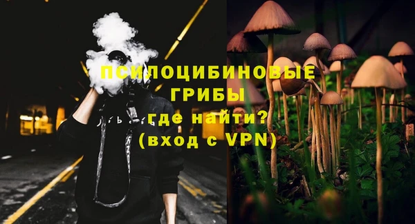прущий лед Алзамай