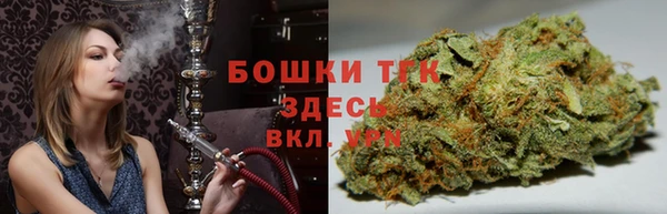 прущий лед Алзамай